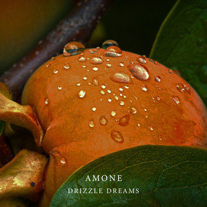 Drizzle Dreams