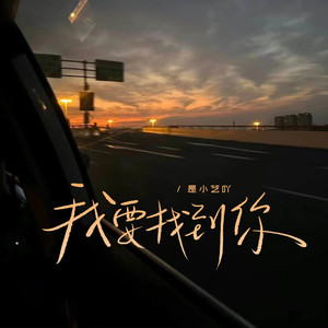 我要找到你 (DJ豪大大版)