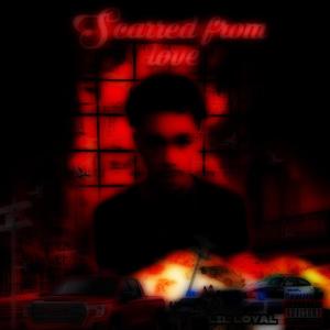 Bad Vibes (Explicit)