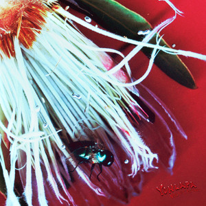 when the time runs out