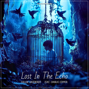 Lost In The Echo