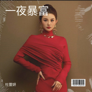 一夜暴富