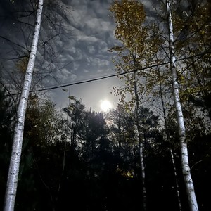 Parting Glance