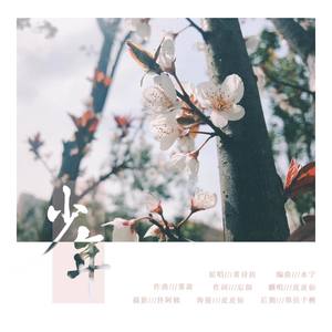 少年 (翻自 黄诗扶)