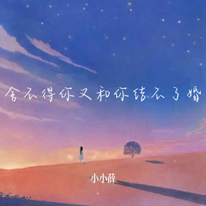 舍不得你又和你结不了婚