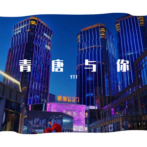 RobbyRobi-青唐与你 (YTT remix)