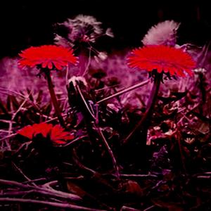 Never Comes Around(feat. Deadtwokill) (Explicit)