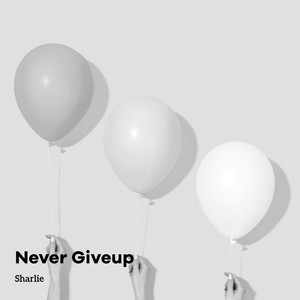 Never Give Up (Instrumental Version)