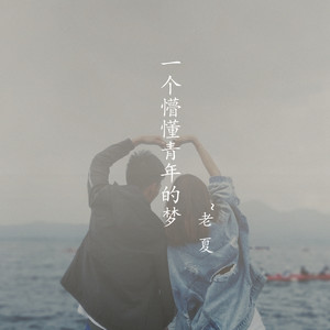 老夏 - 一个懵懂青年的梦