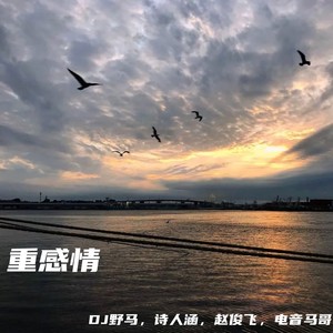 我的歌声里 (DJ版)