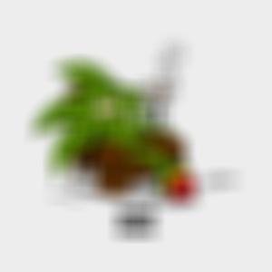 Imma Smoker (Explicit)