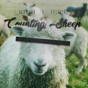 Counting Sheep (Explicit)