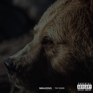 The Vision (Explicit)