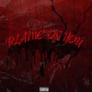 Blame on you (Explicit)