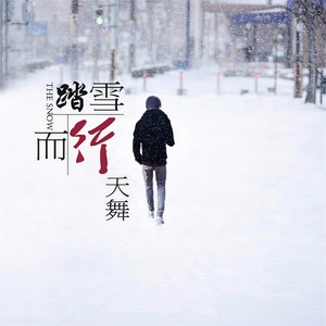 天舞-踏雪而行[MP3-320K_10M]