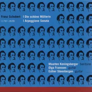Die schöne Müllerin, D. 795 - Das Wandern