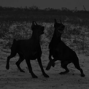 Lyfestylë (Explicit)