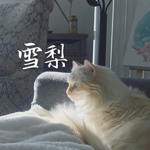 雪梨 (Prod by.饶门说唱Die)