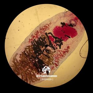 Walnot (SYEP029|Pulso Remix)