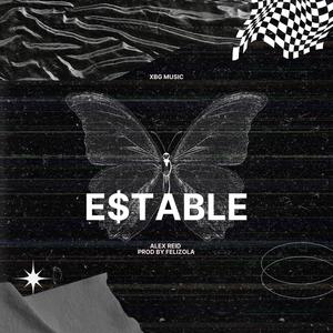 ESTABLE (feat. Felizola)