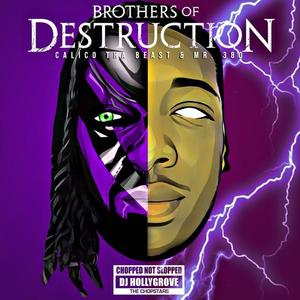 Brothers of Destruction (ChopNotSlop Remix) [Explicit]