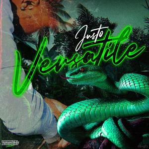 Versatile (Explicit)