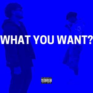 WHAT YOU WANT? (Explicit)