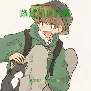 屋顶上的猫封面