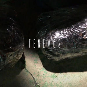 Tenemos (feat. La Movie) (Explicit)