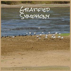 Gratified Symphony