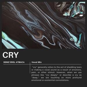 CRY (feat. Ali Naci Temel & Beautiful Escape) (Original Mix)