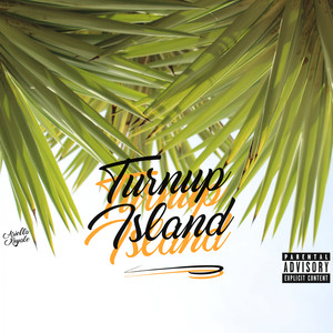 Turn Up Island (Explicit)