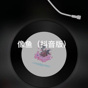 羞答答的玫瑰静悄悄地开