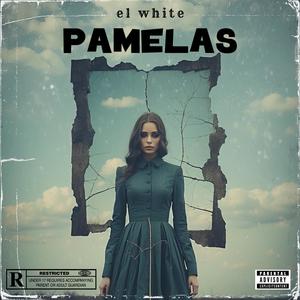 PAMELAS (Explicit)