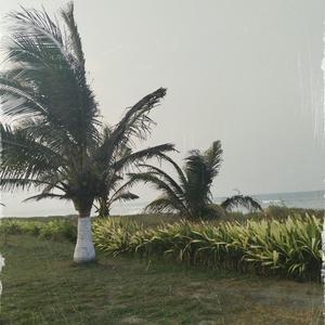 Mi Milonga Preferida