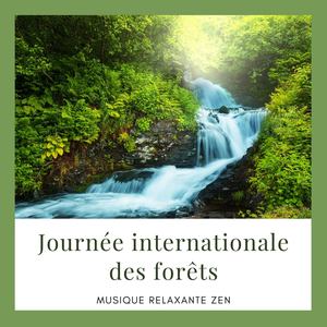 Journée internationale des forêts: Musique relaxante zen avec sons de la forêts, pour célébrer la nature et se détendre