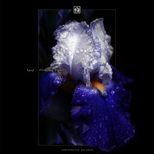 Albedo (Original Mix)