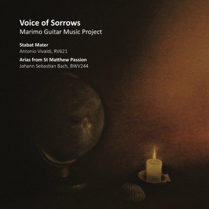 Voice of Sorrows: Marimo Guitar Music Project