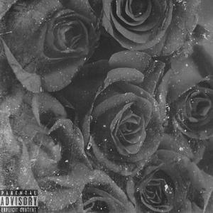 WEDNESDAY ON A SUNDAY