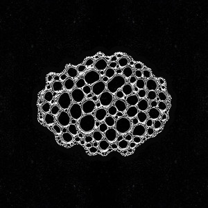 Repugnant Gorenoise Faeces