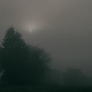 In The Foggy Dream Till The Dark