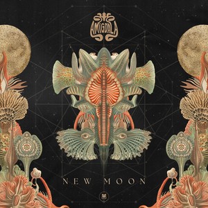 New Moon