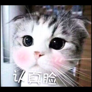 運命のルーレット廻して (Live)