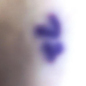 TheEnd (feat. KUZEKU) (Explicit)