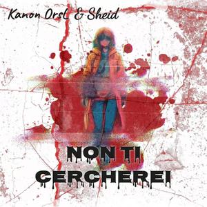 Non ti cercherei (feat. Sheid & prod. Hieloways) (Explicit)