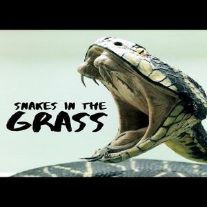 Snakes in the Grass (Explicit)