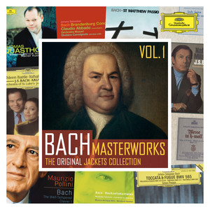 St. John Passion, BWV 245 / Part One - No.7   Aria (Alt) : 