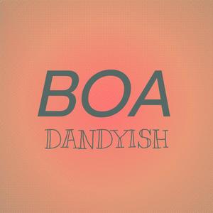 Boa Dandyish