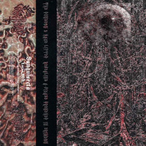 The dungeon's haze lifted, revealing a visage drenched in crimson.