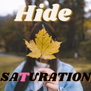 Hide (feat. Elvira Keijser)